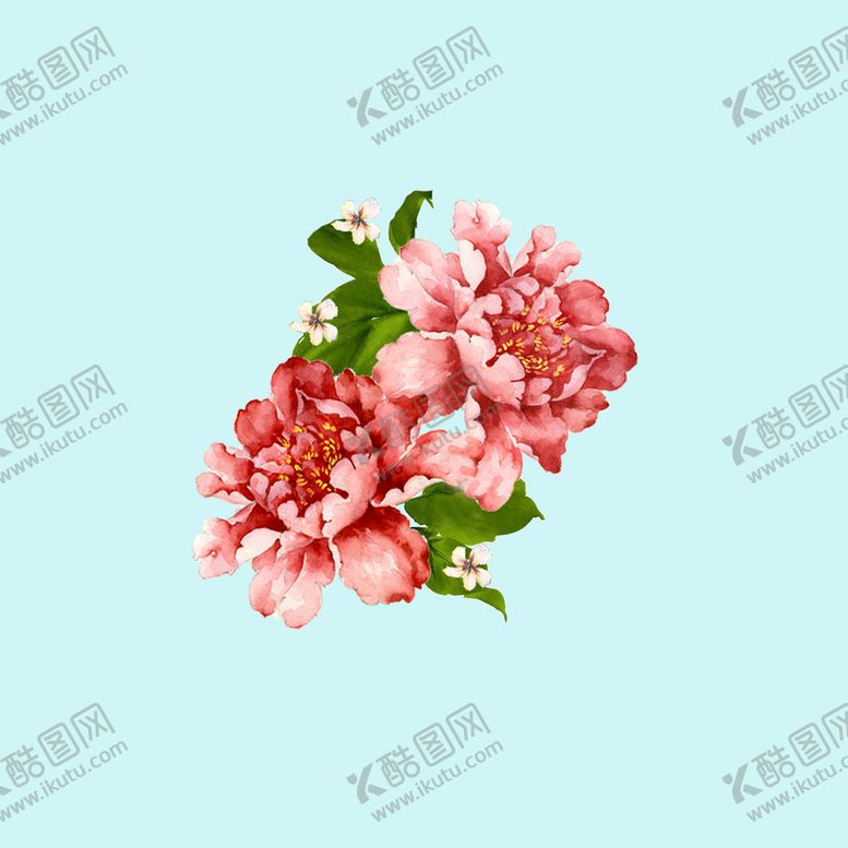 编号：07149809141709514780【酷图网】源文件下载-手绘水彩月季 