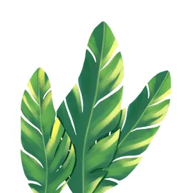 橡胶名片