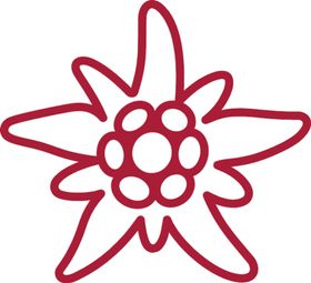 桃花花瓣