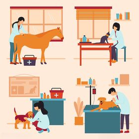 宠物医院图片