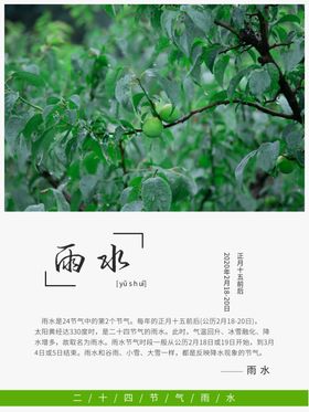 雨水惊蛰24节气地产海报