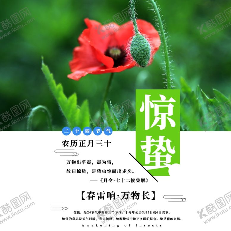 编号：47927205181253074897【酷图网】源文件下载-手机壁纸