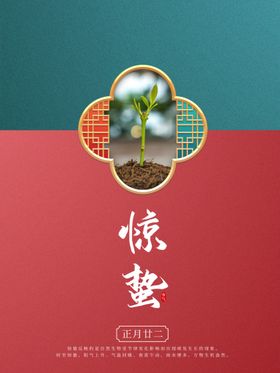 惊蛰简约风宣传图