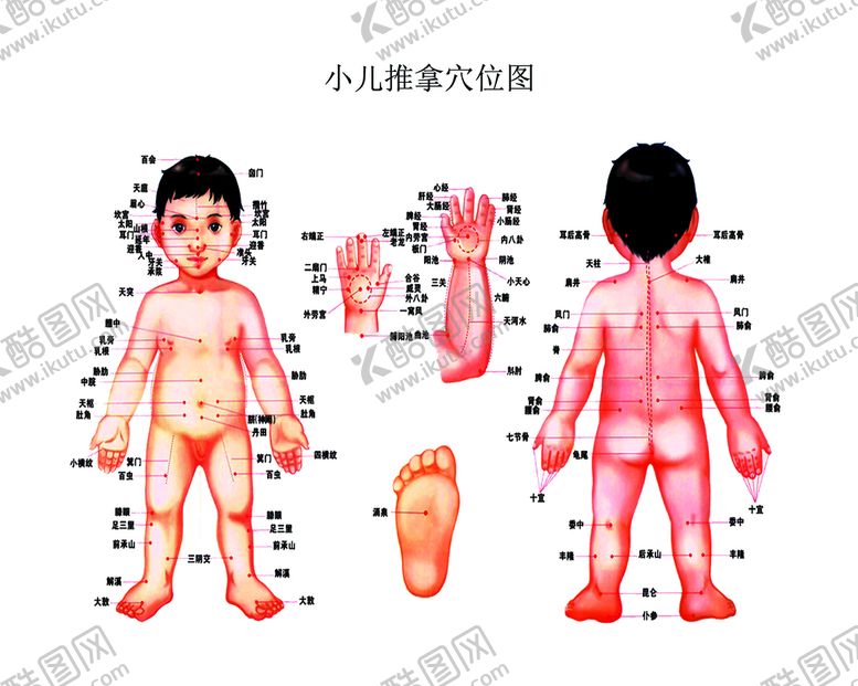 编号：46753910080925504395【酷图网】源文件下载-小儿推拿