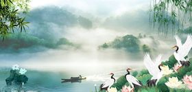 荷花背景