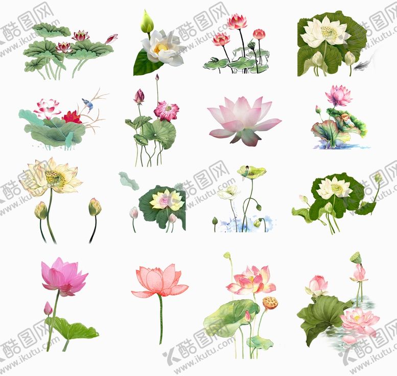 编号：97130811031956024439【酷图网】源文件下载-荷花