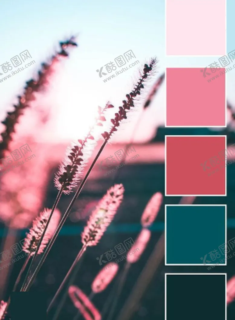 编号：40467709201559092006【酷图网】源文件下载-粉红色系配色