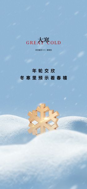 大寒节气海报小雪小飞机稿小意境