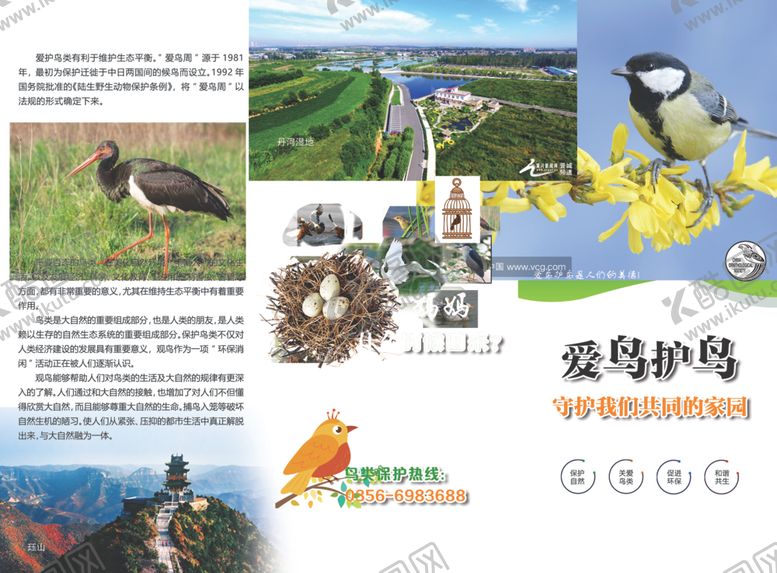 编号：35645907121027541409【酷图网】源文件下载-鸟类保护折页正面