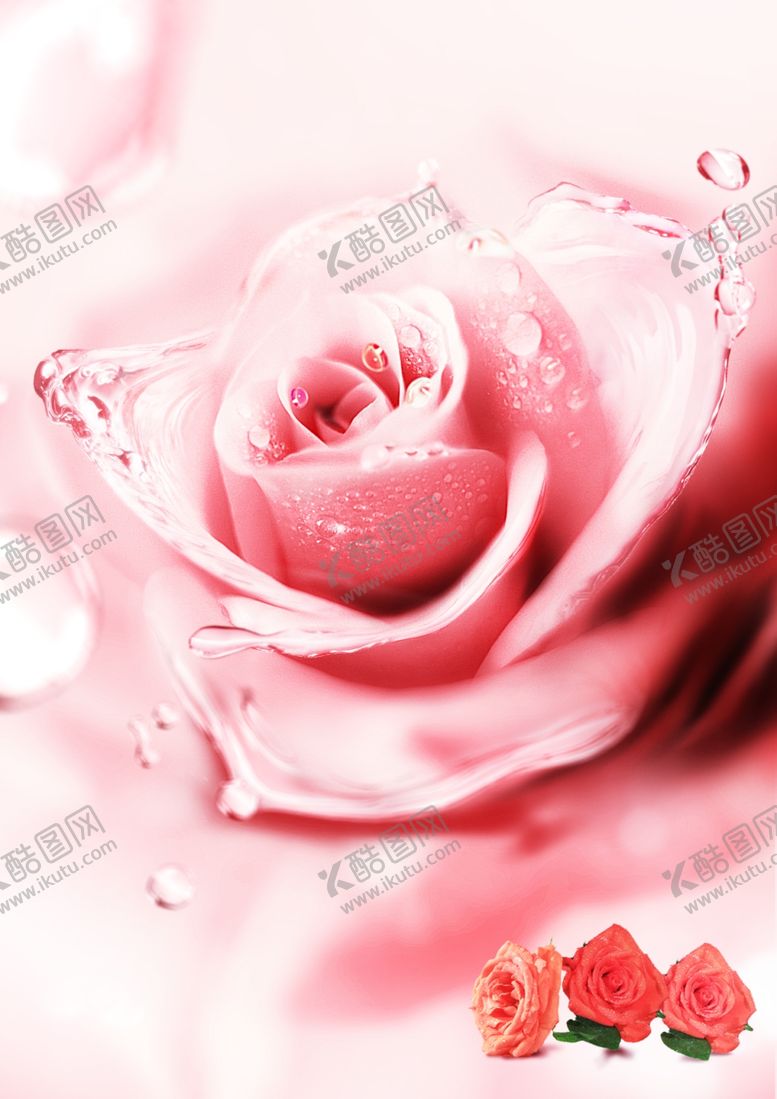 编号：68833010100831424821【酷图网】源文件下载-粉色玫瑰