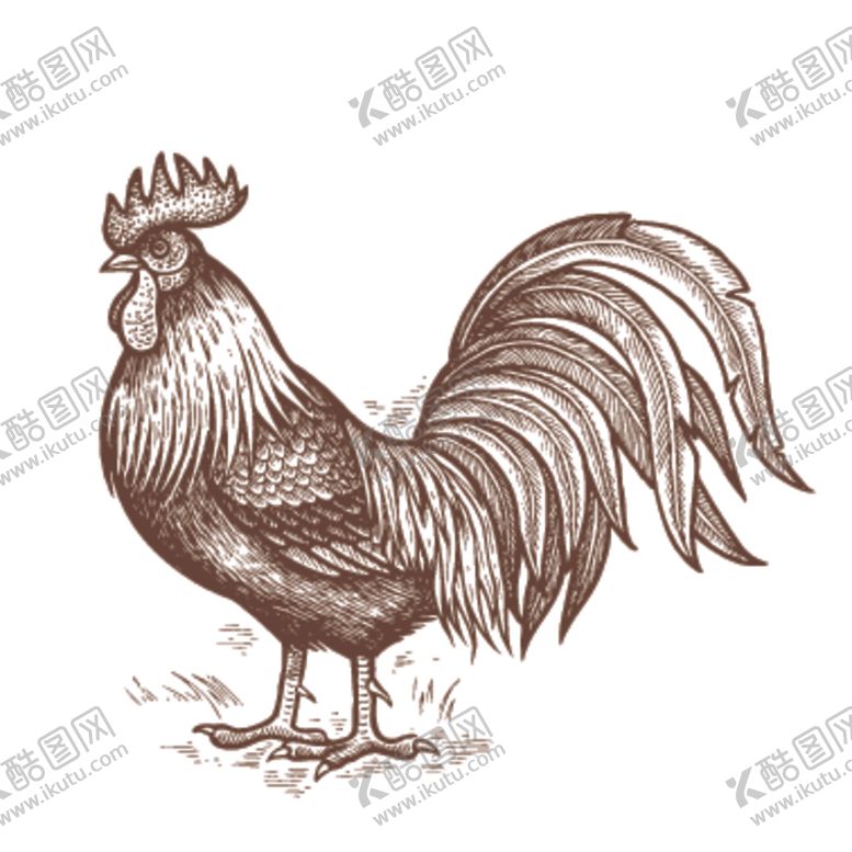 编号：26193510070144586000【酷图网】源文件下载-家养动物主题插画