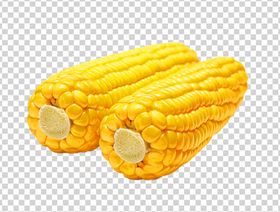 玉米
