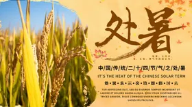 处暑