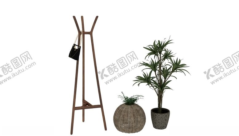 编号：36629707011213011764【酷图网】源文件下载-衣架植物3d模型