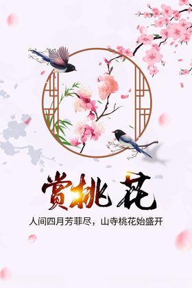 赏桃花美景享春日雅趣