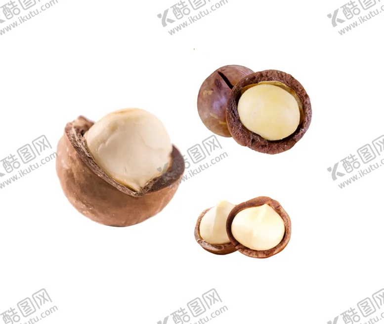 编号：34695007020516416350【酷图网】源文件下载-夏威夷果