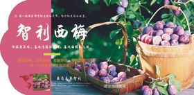西梅