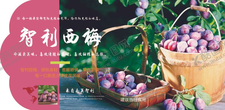 编号：71822805031253317535【酷图网】源文件下载-西梅