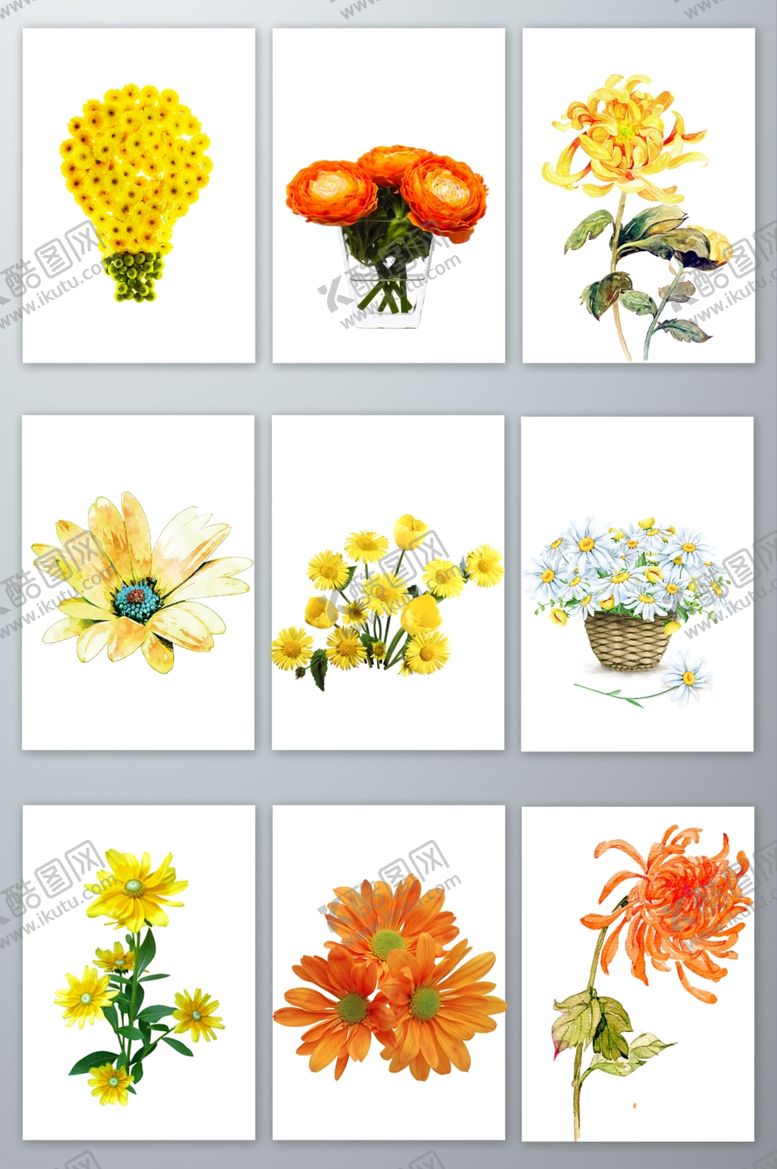 编号：50907110091621181392【酷图网】源文件下载-菊花