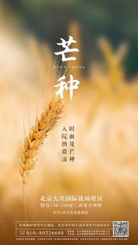 地产芒种节气高考移动端海报