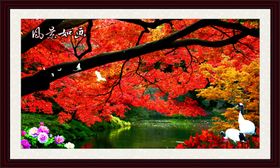 风景如画枫叶如画