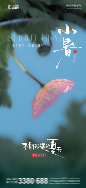小暑节气海报