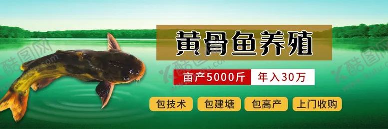 编号：52786009140537123162【酷图网】源文件下载-黄骨鱼养殖