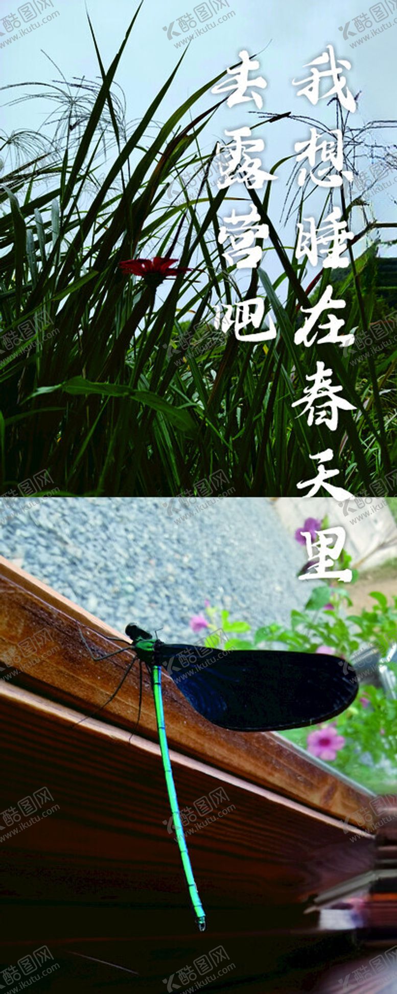 编号：67486102102238324940【酷图网】源文件下载-露营