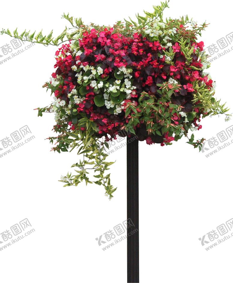 编号：38171209120422013778【酷图网】源文件下载-花球