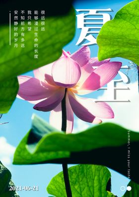 创意夏季夏至节气海报