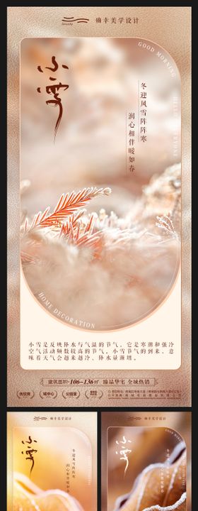 小雪节气海报二十四地寒冷冰花