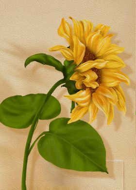植物装饰画北欧风格字母展板