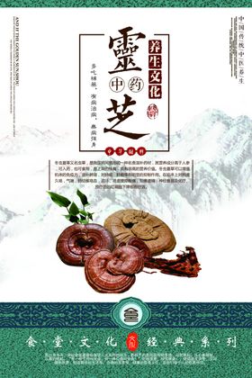 养生文化