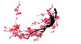 梅花素材
