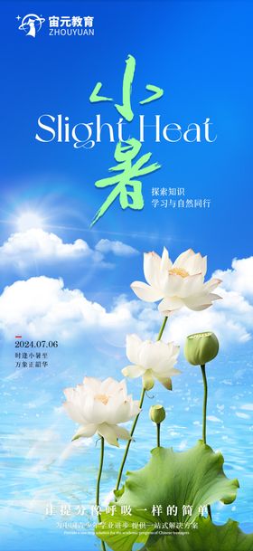 小暑节气海报二十四荷花天空地产