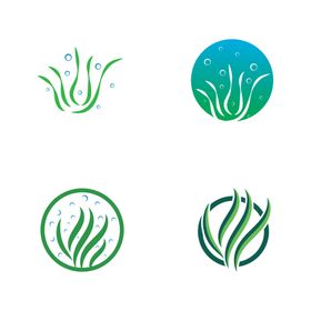 海草logo