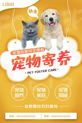 宠物海报