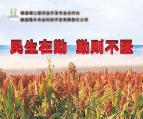 高粱粮食