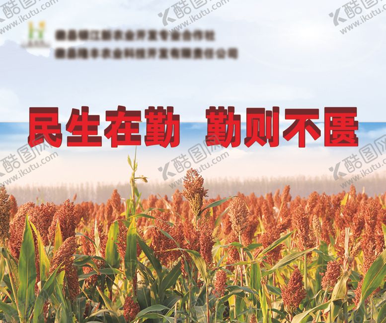 编号：89524310260412574429【酷图网】源文件下载-高粱粮食