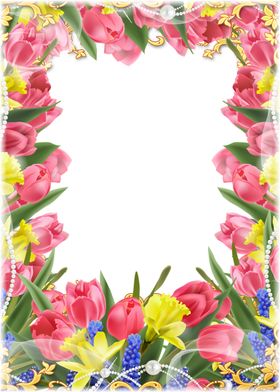 花朵背景插图