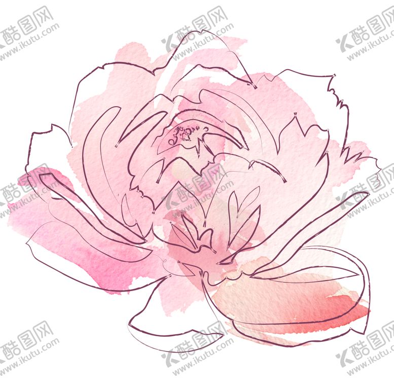 编号：63495307071227516133【酷图网】源文件下载-植物手绘水彩