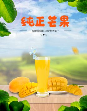 纯正山茶油海报