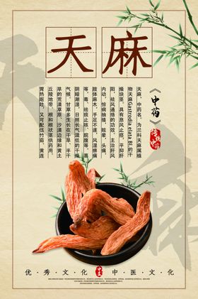 中药药材传统复古海报素材