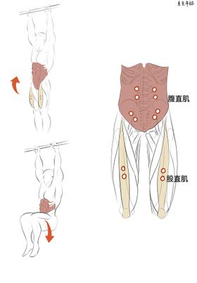 悬垂举腿