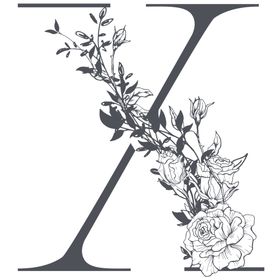 字母X