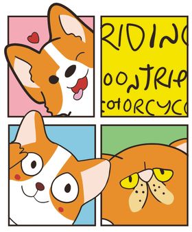 柯基狗狗四宫格猫