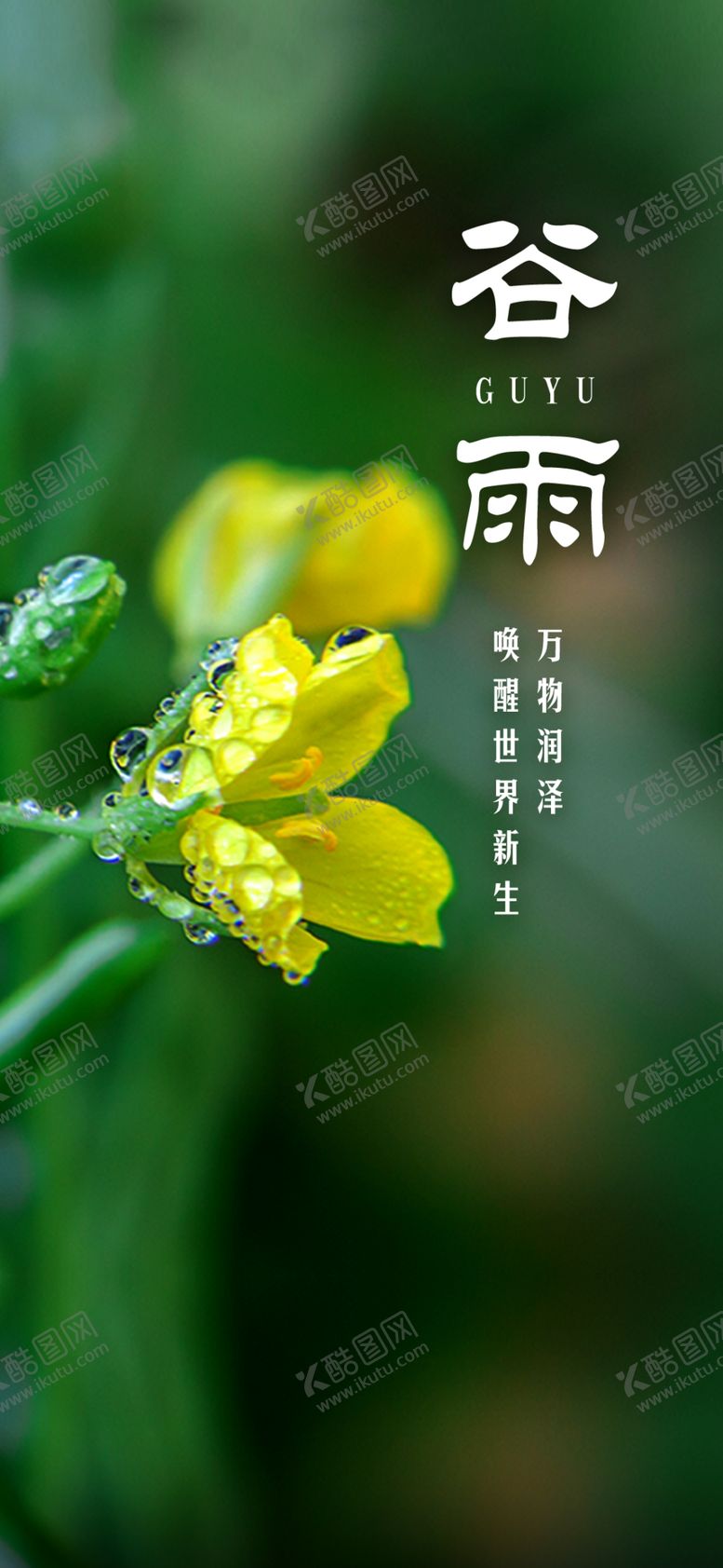 编号：79024004101346052543【酷图网】源文件下载-谷雨