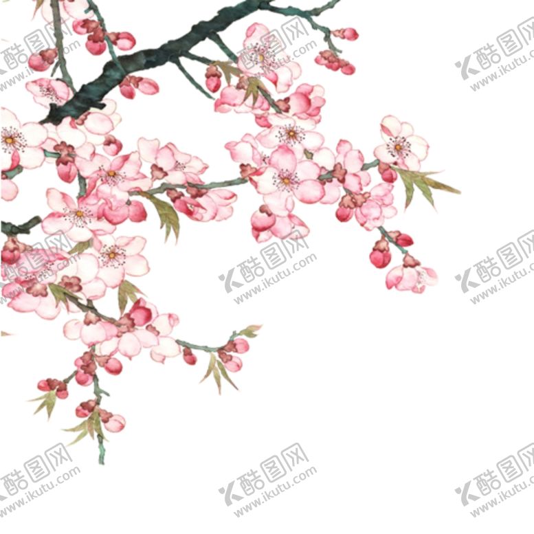 编号：98593505090710108467【酷图网】源文件下载-桃花