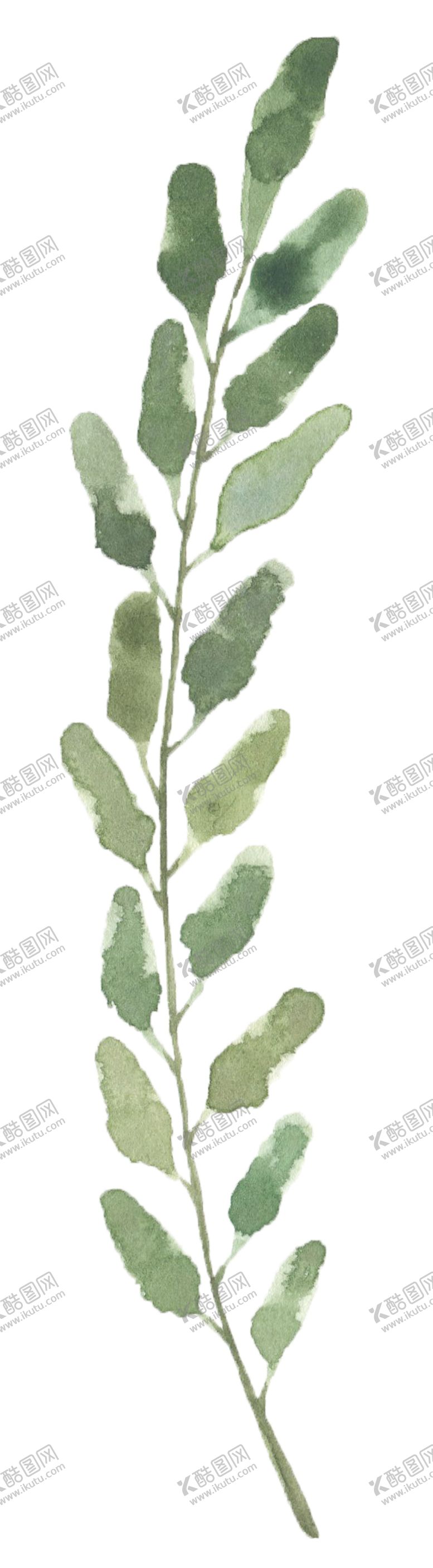 编号：33039605041728241116【酷图网】源文件下载-手绘植物花卉
