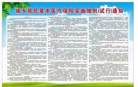 城乡居民基本医疗保险实施细则